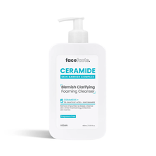 FACEFACTS CERAMIDE BLEMISH CLARIFYING FOAMIN CLEANSER