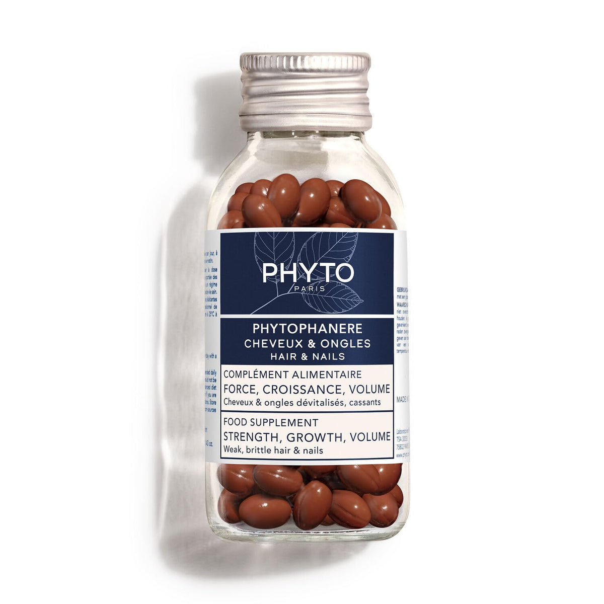 PHYTO PHYTOPHANERE