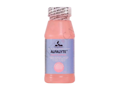Alfalyte Electrolytes Bubble Gum Flavor